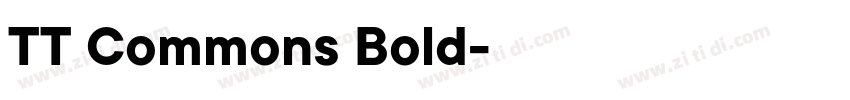 TT Commons Bold字体转换